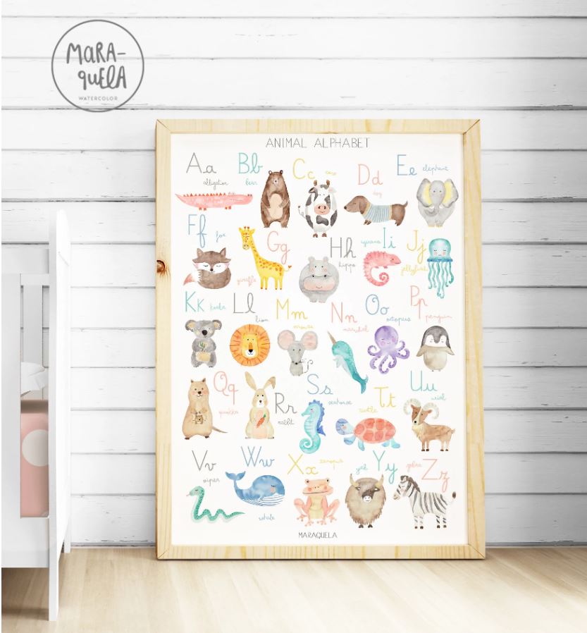 Lámina Animal Alphabet | Inglés