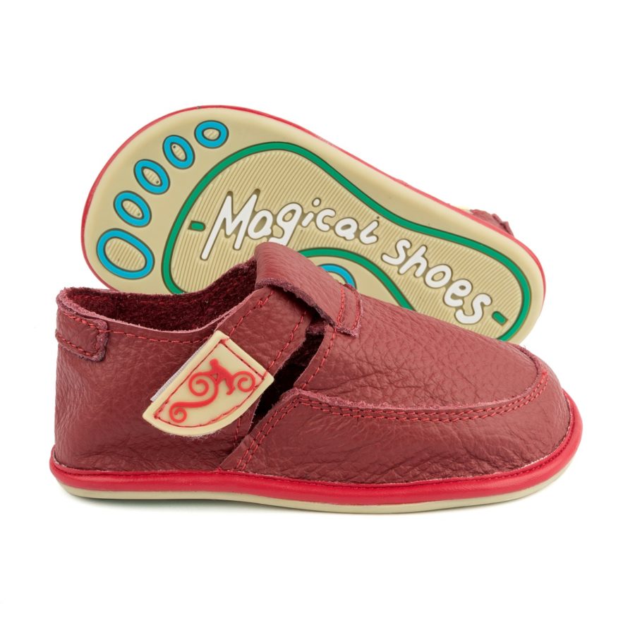 MAGICAL SHOES